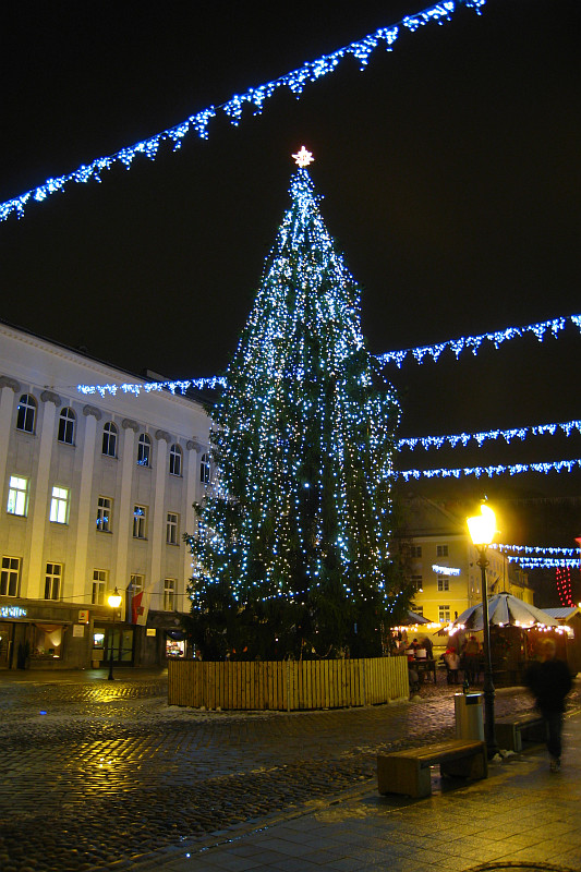 tartu_080_07_12_2008.JPG