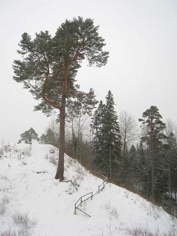 010_26_02_2009.JPG