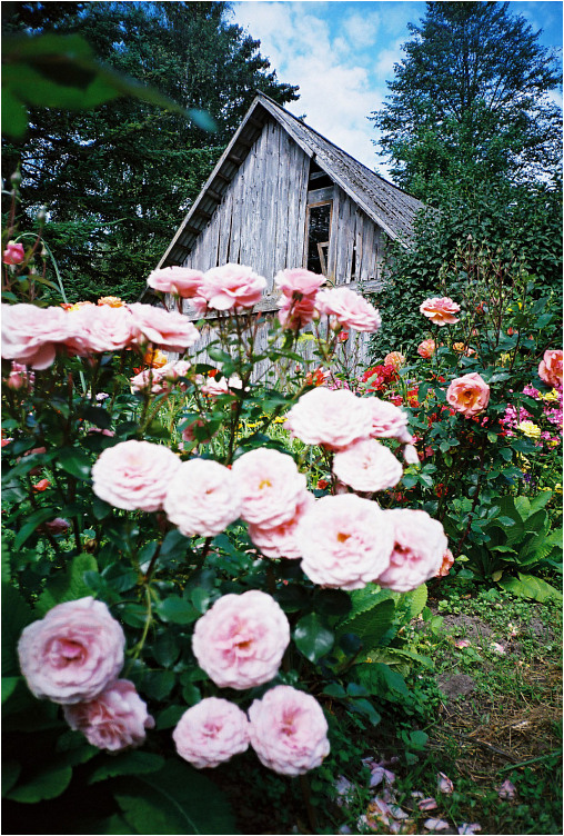 film_021_07_2008.jpg