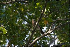 041_23_09_2007.JPG