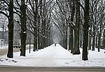 041_12_02_2006.jpg