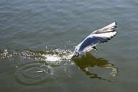 002_22_04_2006.JPG