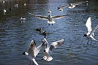 003_22_04_2006.JPG