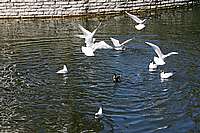 027_22_04_2006.JPG