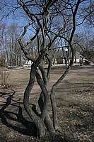 055_22_04_2006.JPG