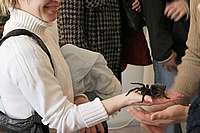 061_22_04_2006.JPG