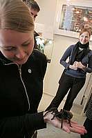 063_22_04_2006.JPG