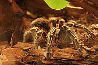 064_22_04_2006.JPG